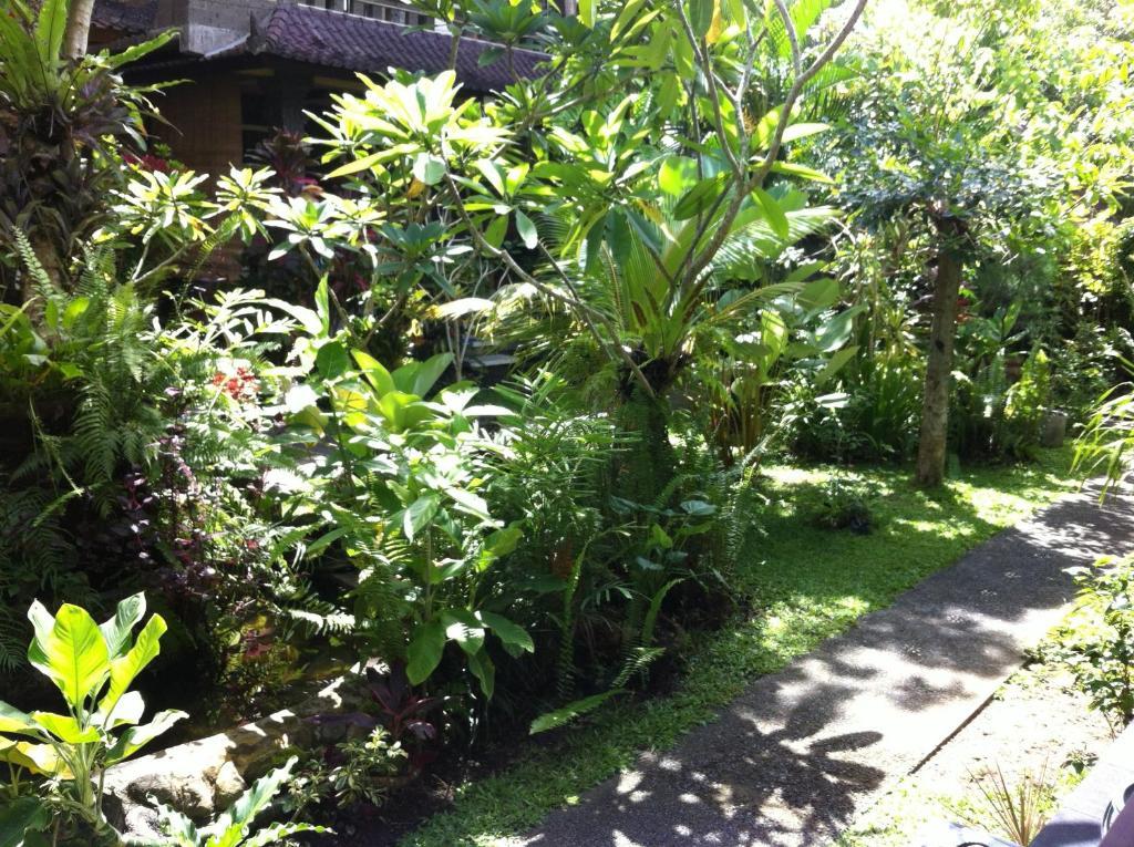 Karang Mesari Ubud Guest House Exterior photo